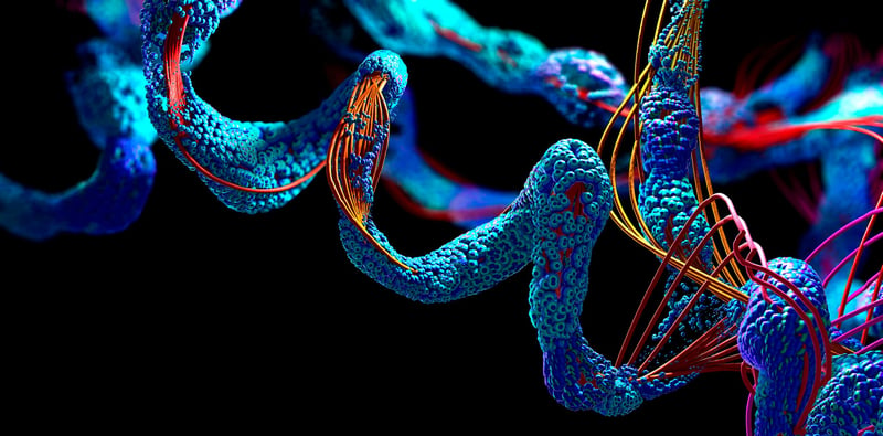 CO2 to Food - the creation of groundbreaking protein alternatives
