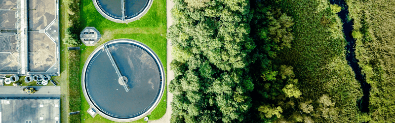 Making next-generation renewable biofuels competitive