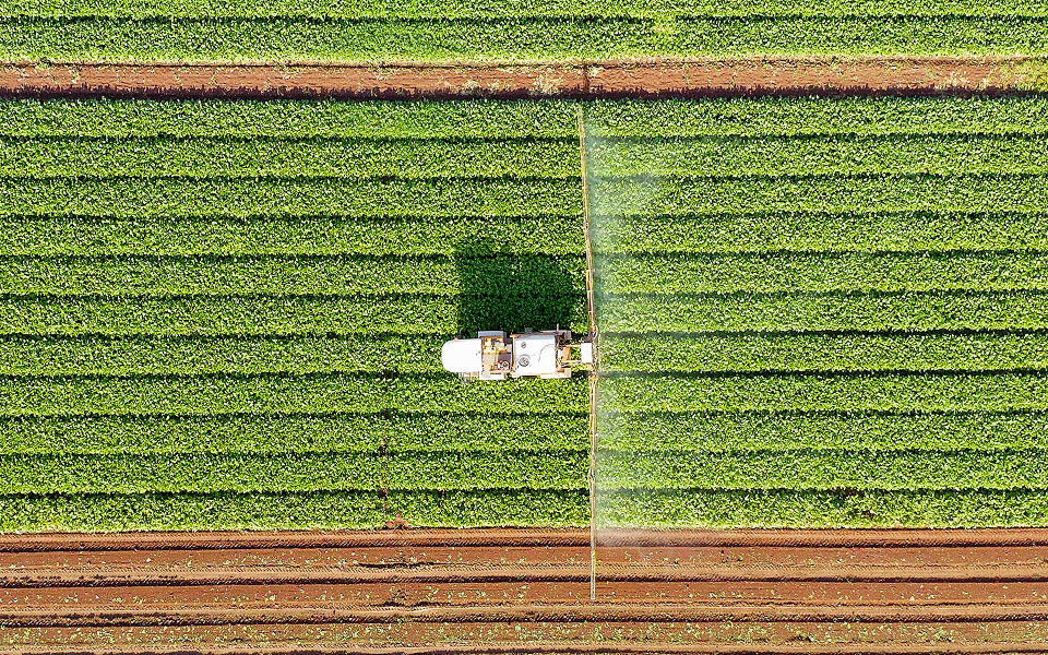 farm